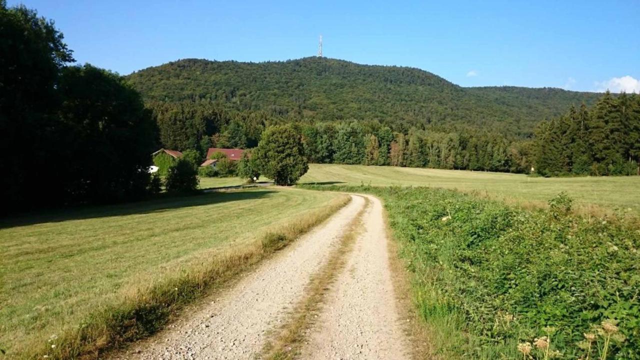 Ferienwohnung Teufelsbauer Rimbach  Eksteriør billede